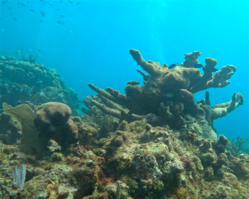 Divesite Image