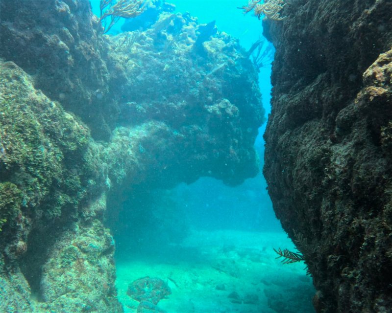 Divesite Image