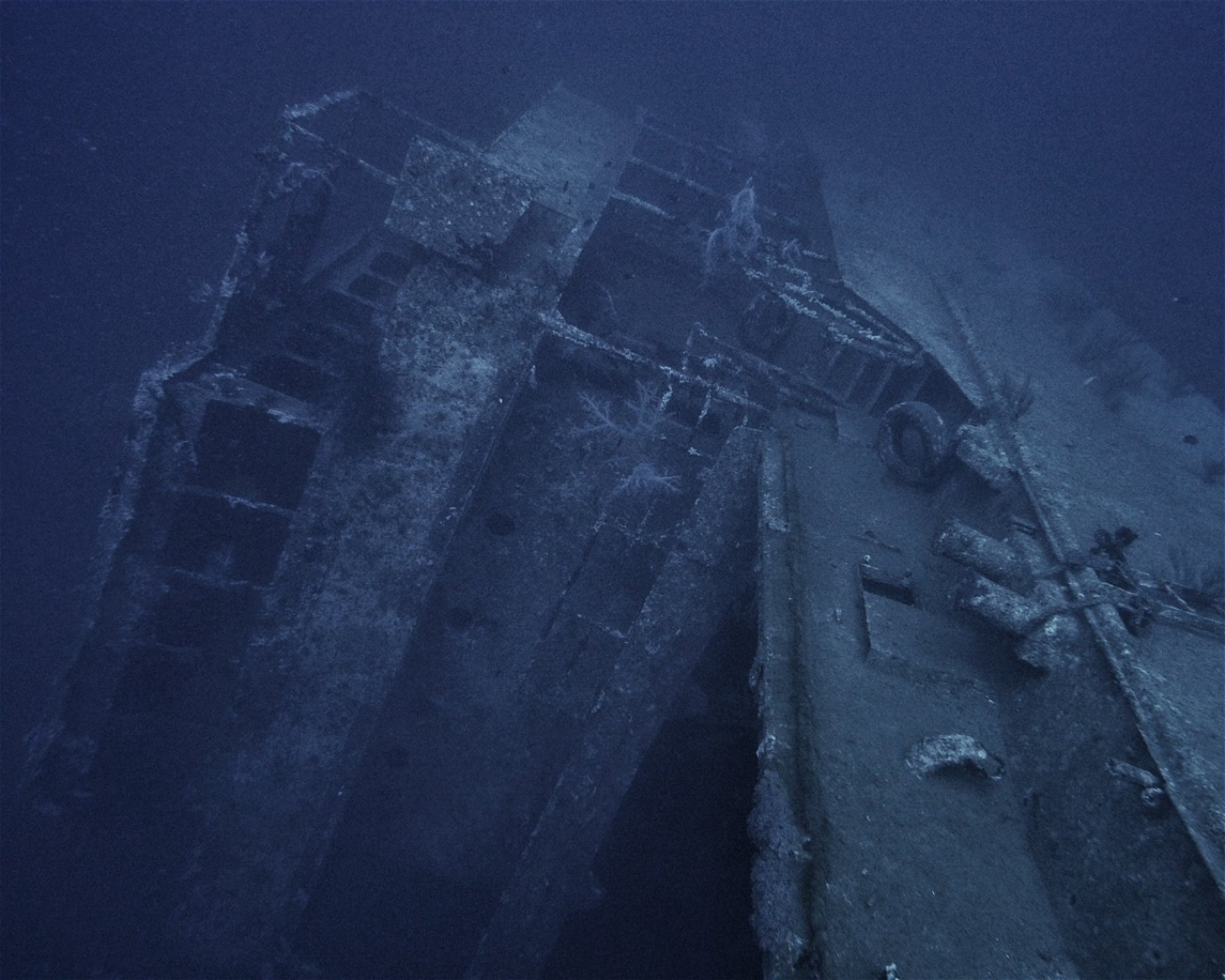 Sinai Divers Aqaba, 77110 Aqaba