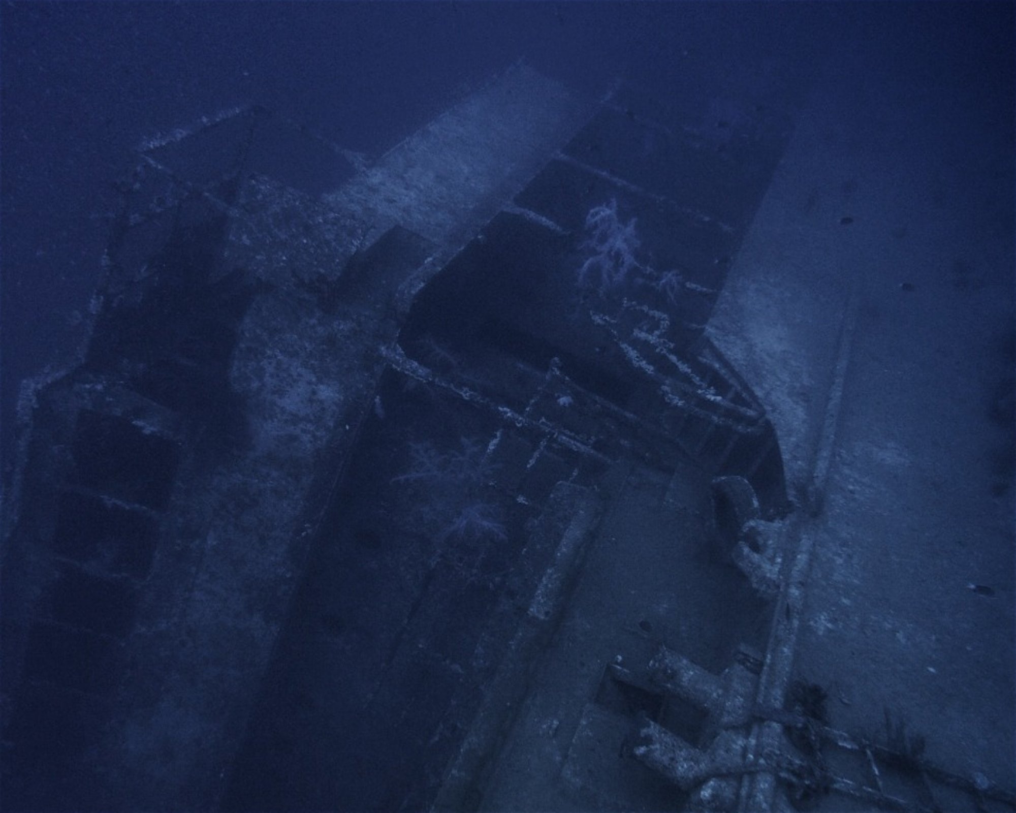 Sinai Divers Aqaba, 77110 Aqaba