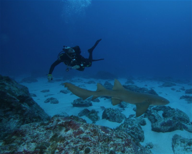 Divesite Image