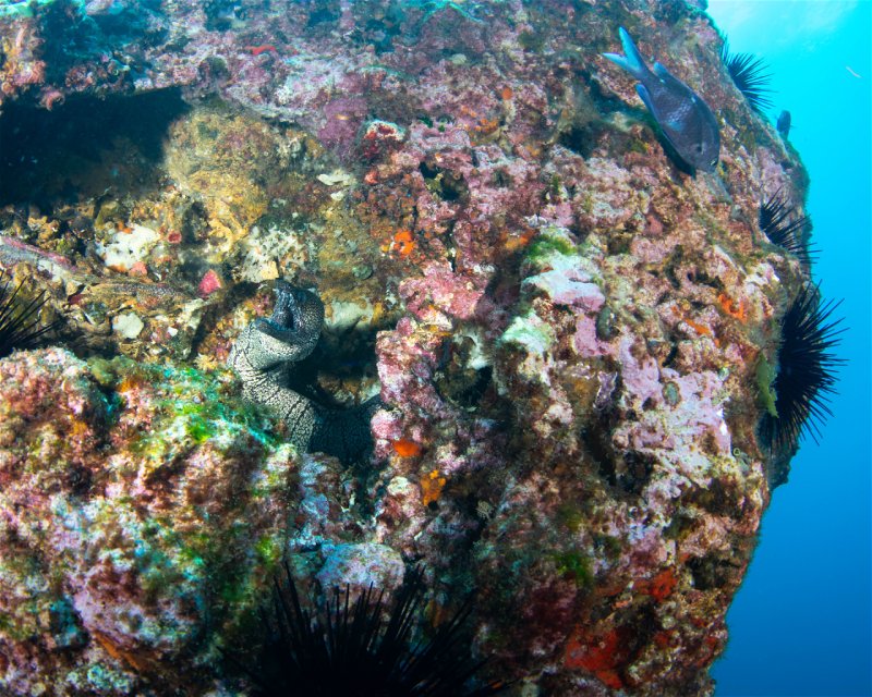 Divesite Image