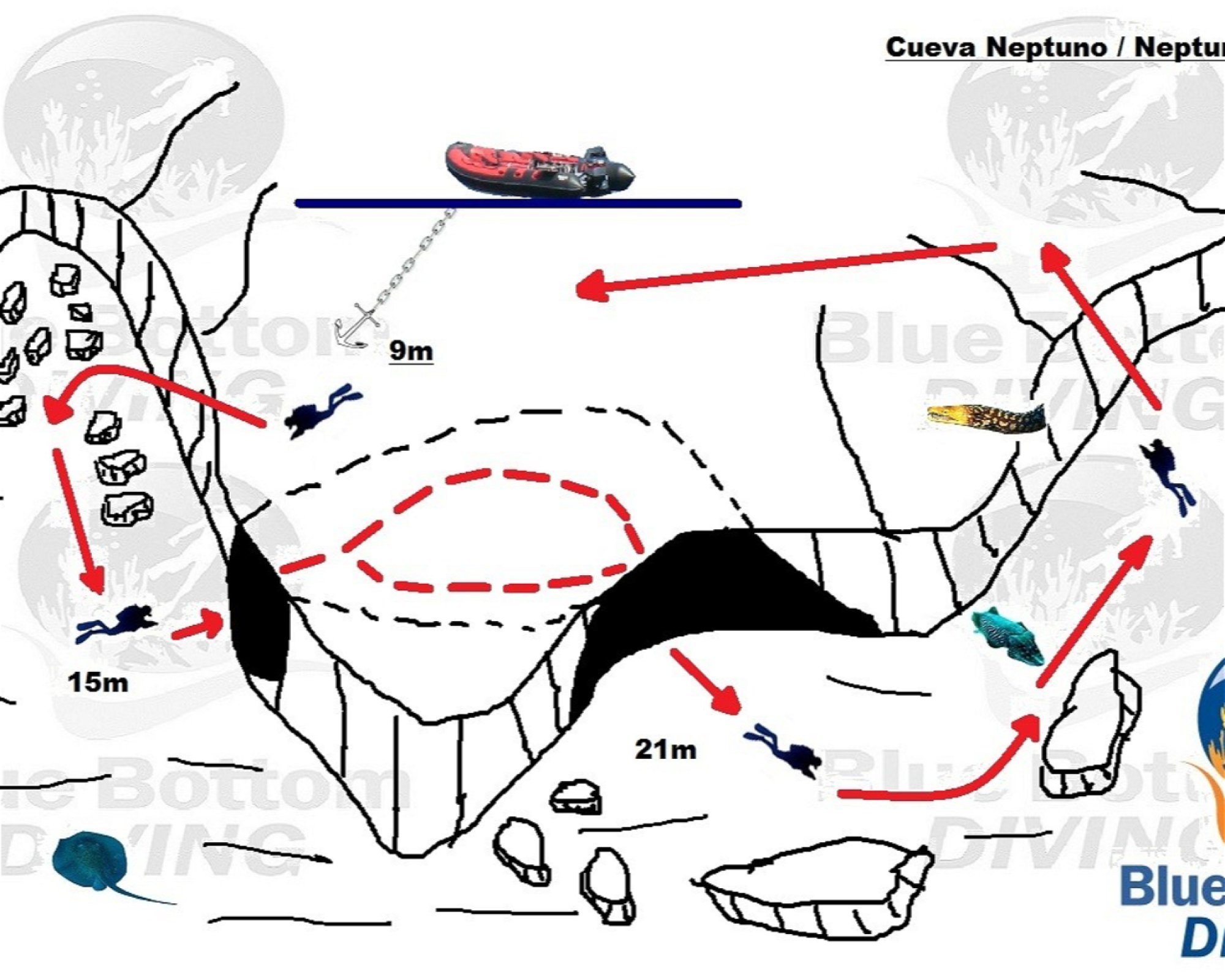 Blue Bottom Diving, 38660 Adeje