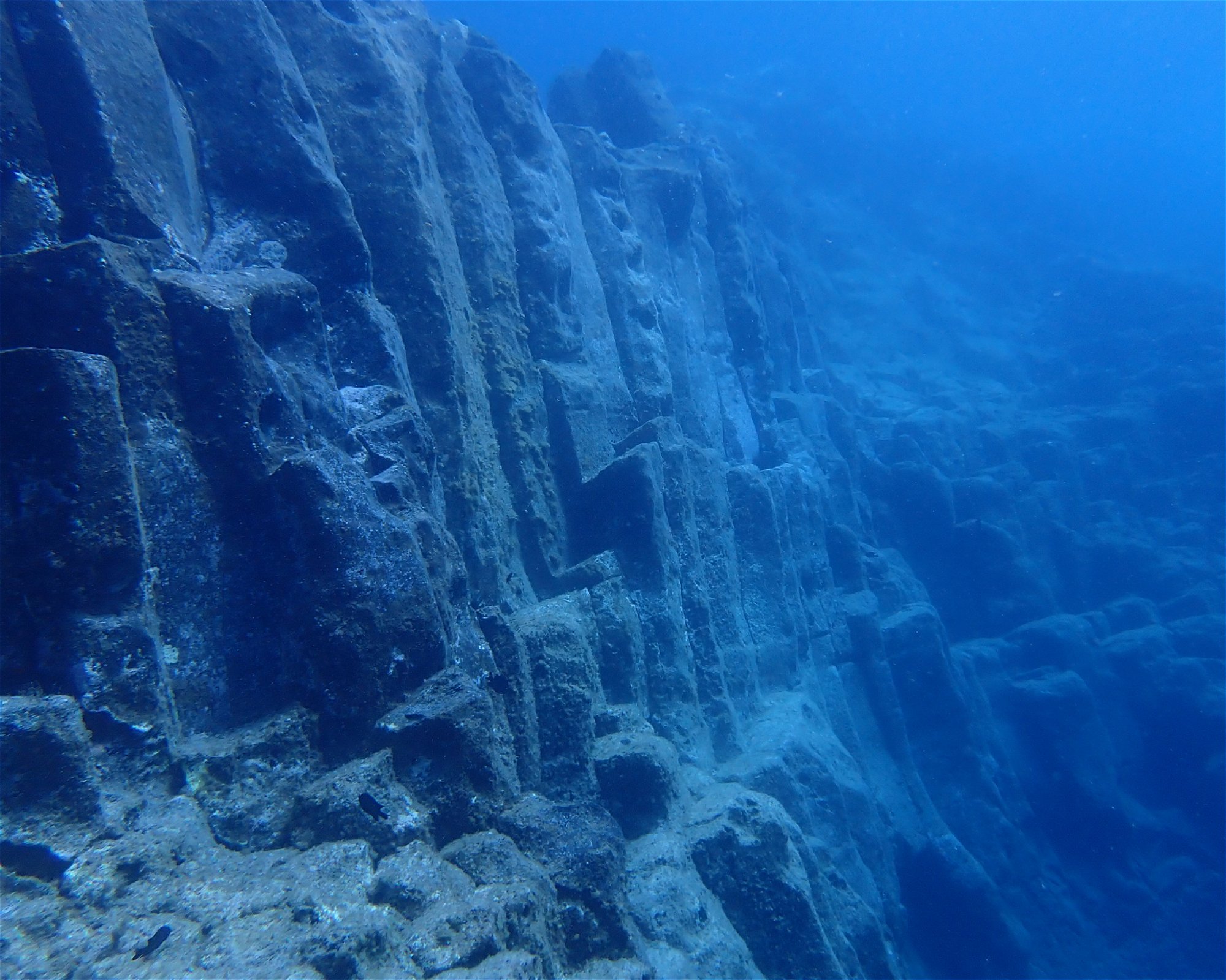 Blue Bottom Diving, 38660 Adeje