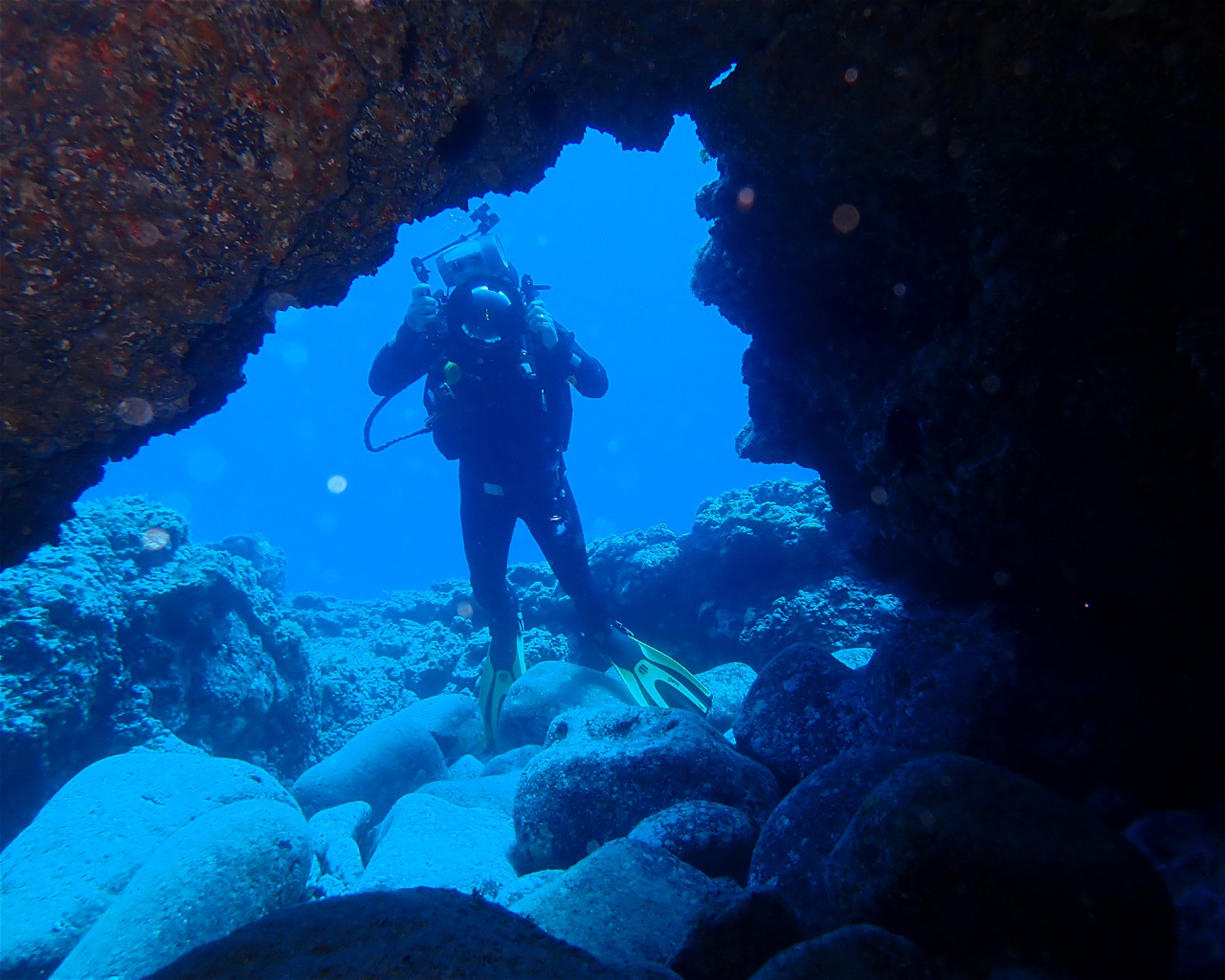 Blue Bottom Diving, 38660 Adeje
