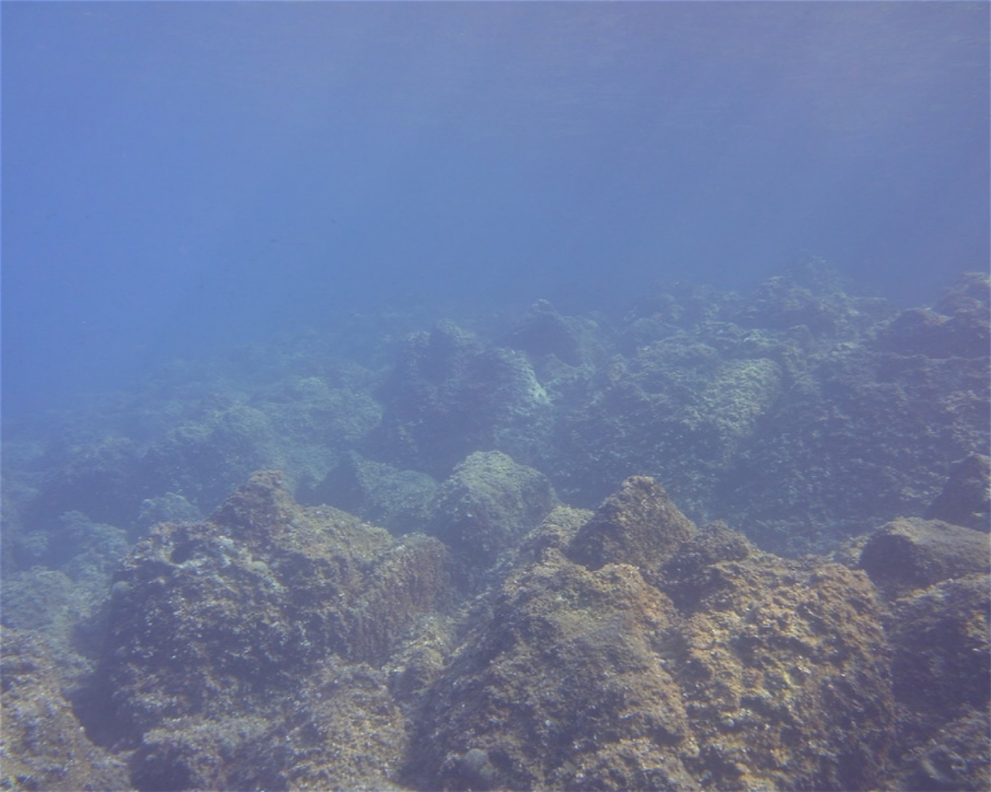 NICE DIVING, 06300 NICE