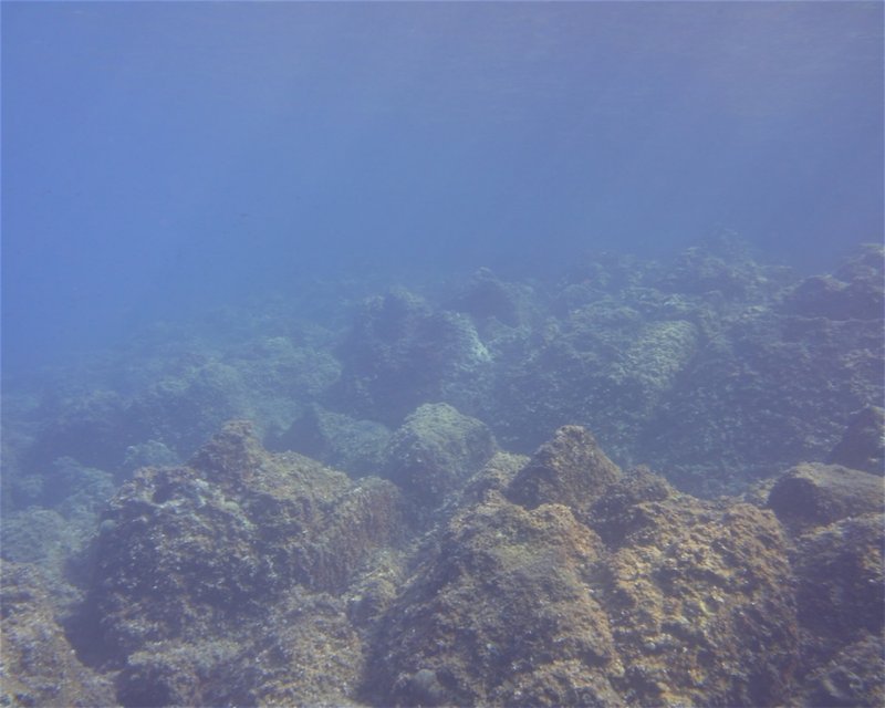 Divesite Image