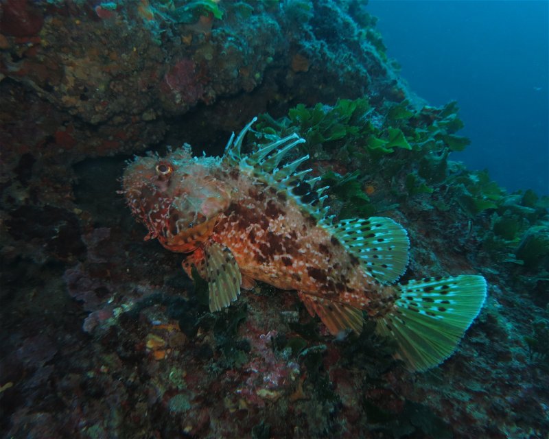 Divesite Image