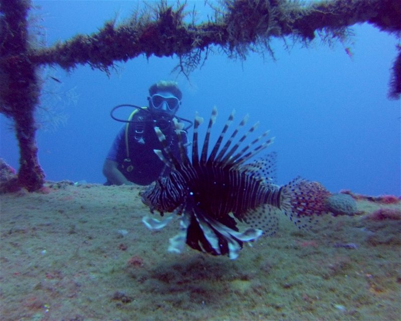Divesite Image