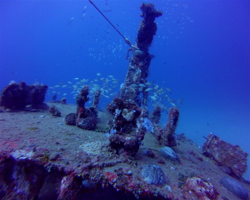 Divesite Image