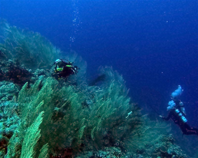 Divesite Image