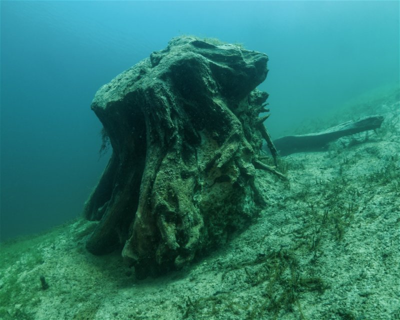 Divesite Image