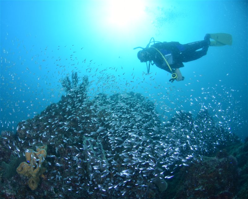 Divesite Image