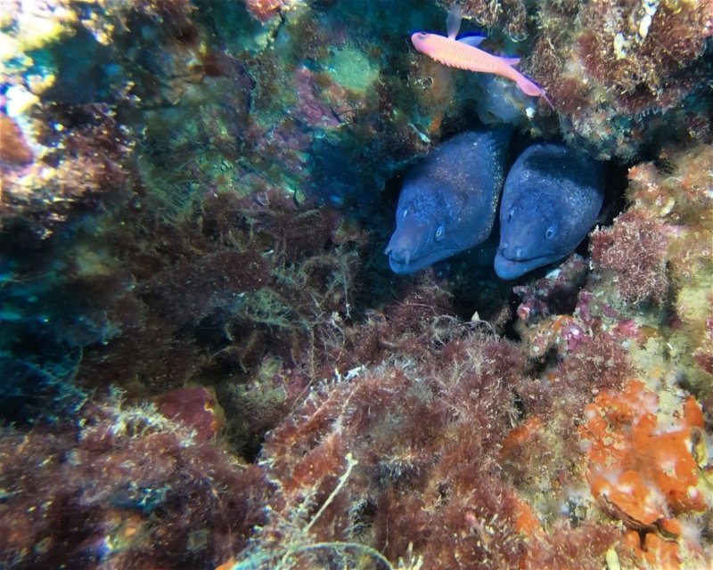 Divesite Image