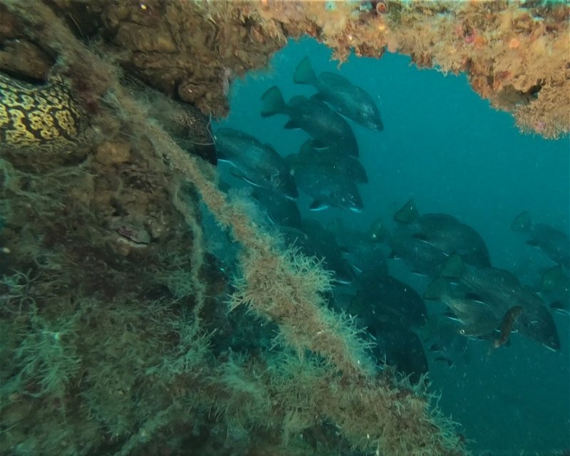 Divesite Image