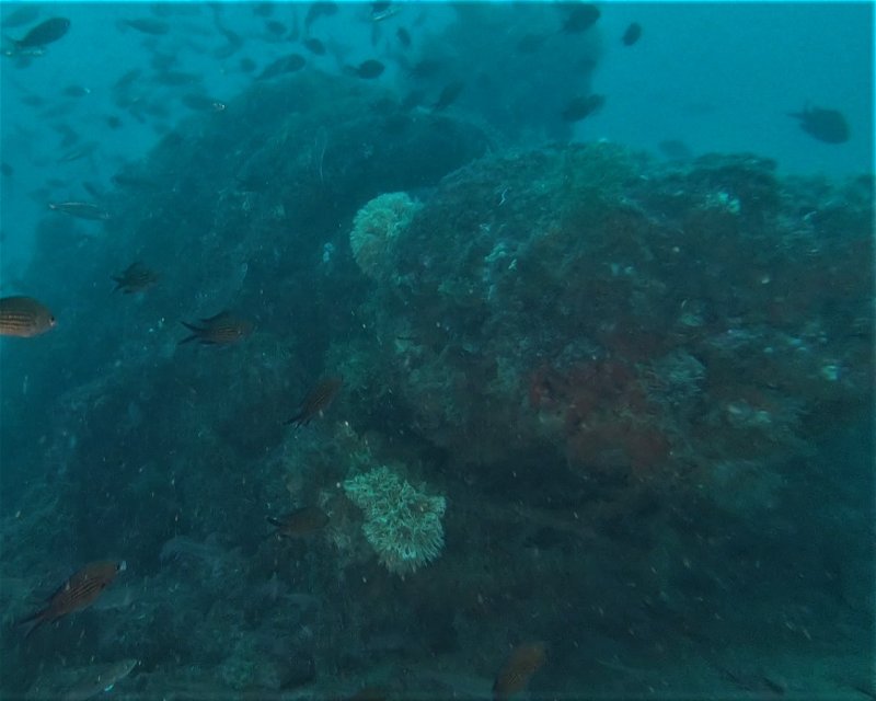 Divesite Image