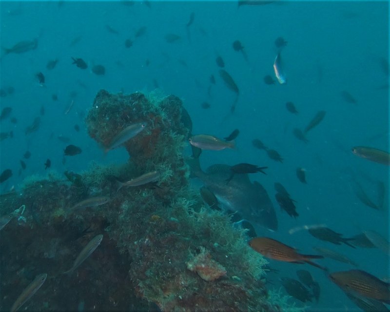 Divesite Image