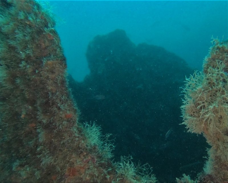 Divesite Image