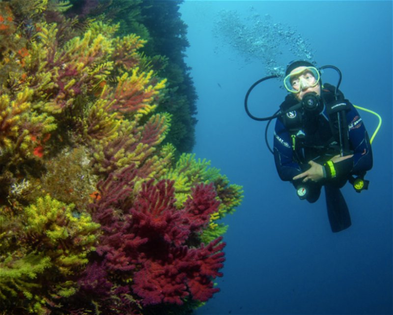 Divesite Image