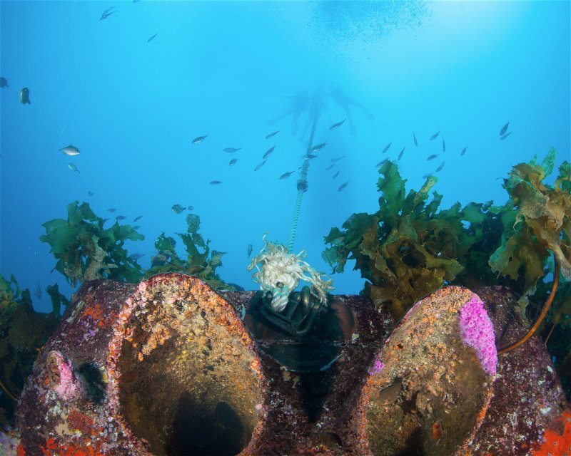 Divesite Image
