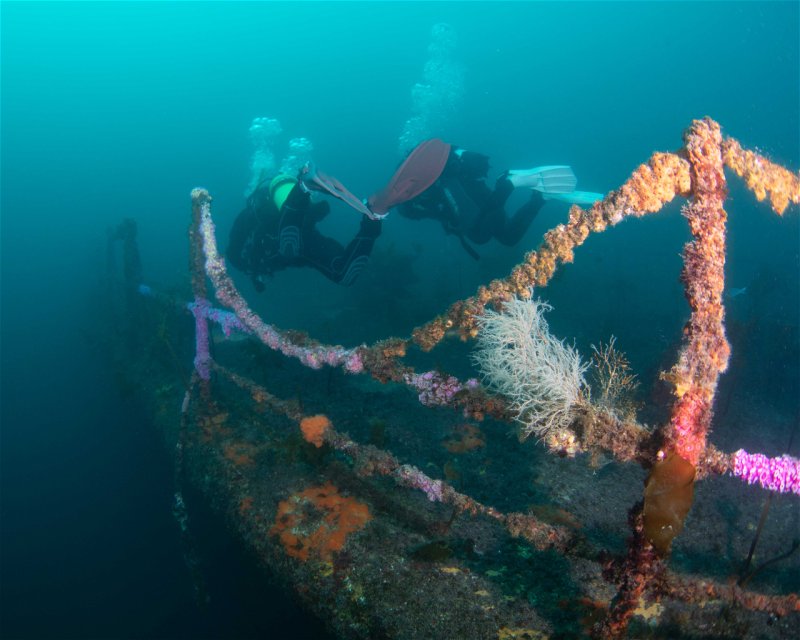 Divesite Image