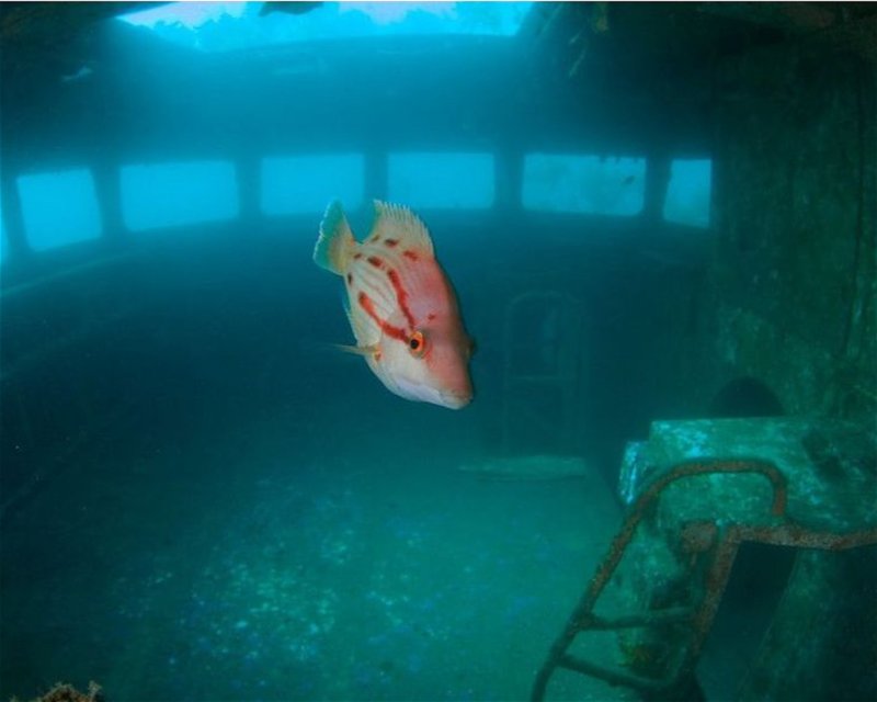 Divesite Image