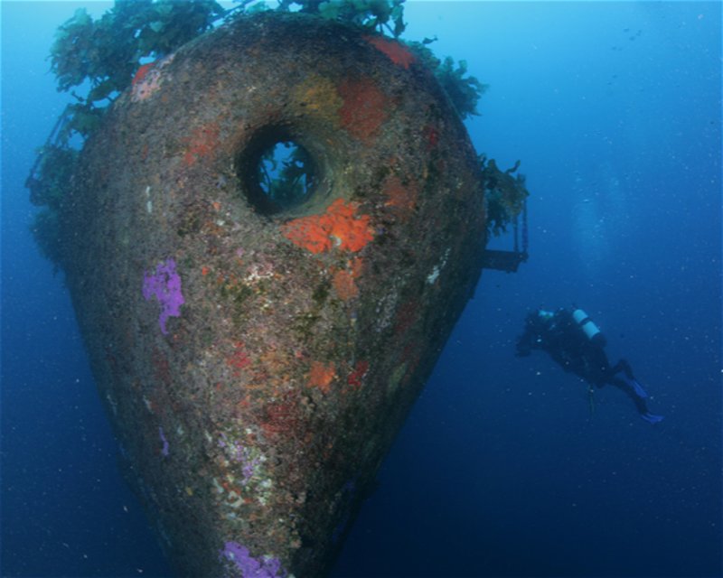 Divesite Image
