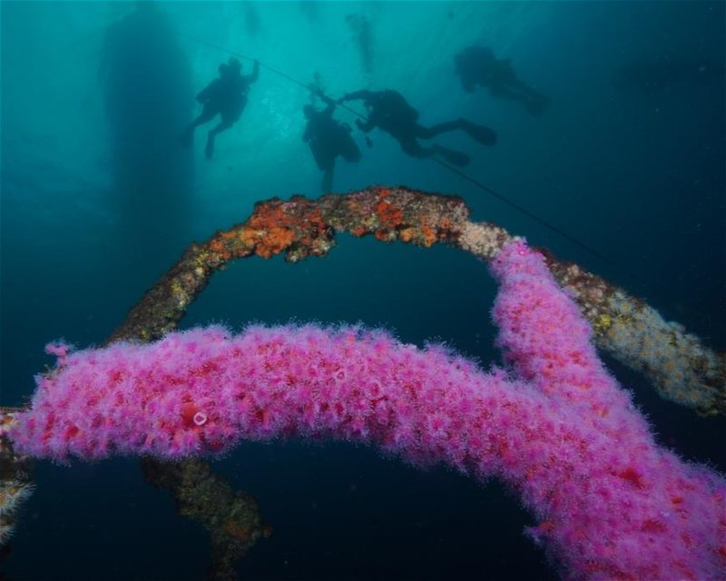 Divesite Image