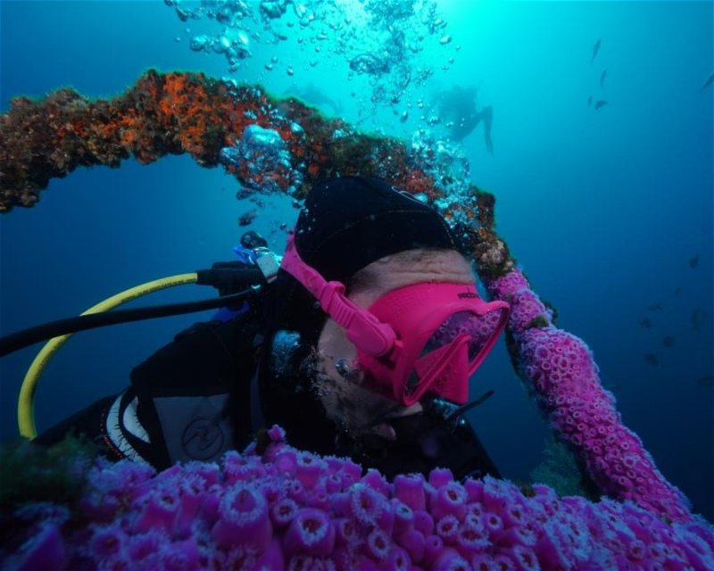 Divesite Image