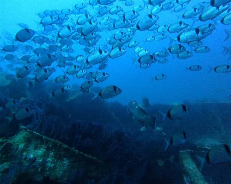 Divesite Image