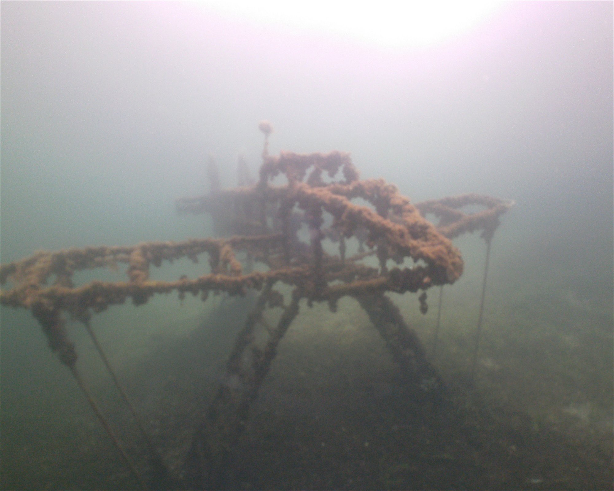 TAUCHCENTER MC-DIVERS, 63867 Hösbach