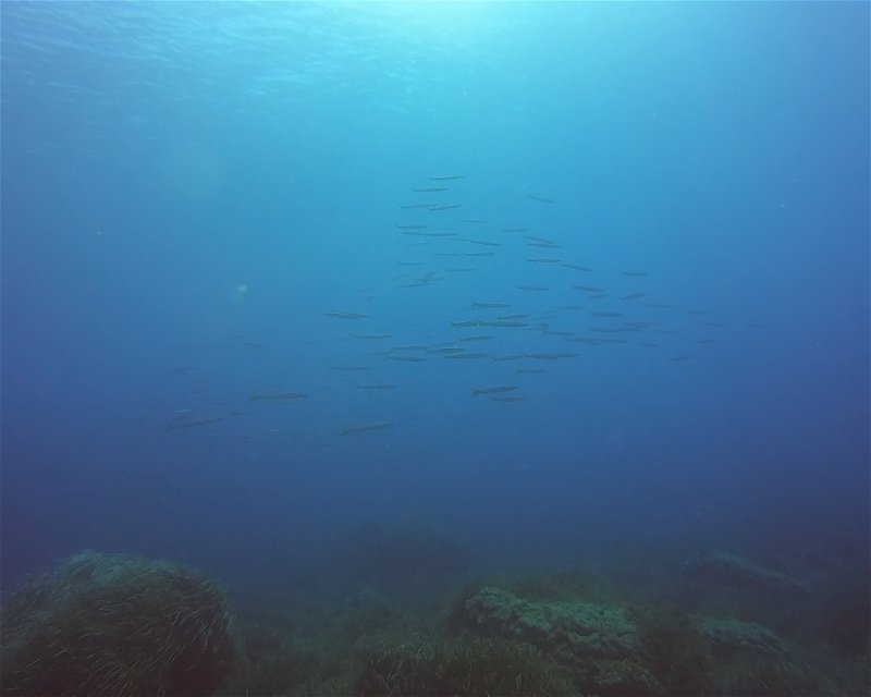 Divesite Image