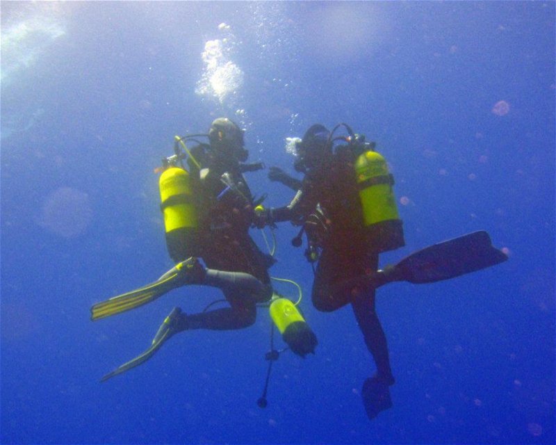 Divesite Image