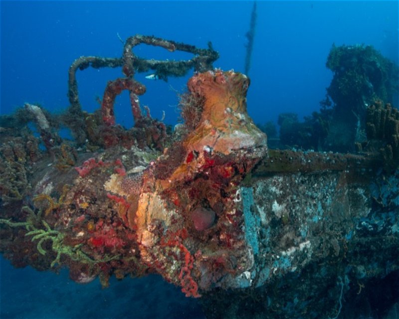 Divesite Image