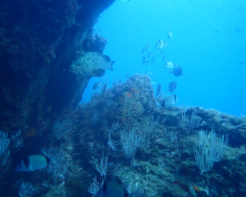 Divesite Image