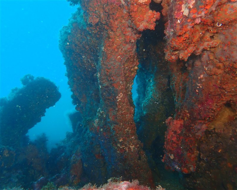 Divesite Image