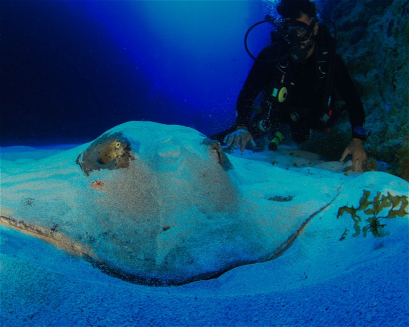 Divesite Image