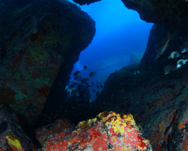 Divesite Image
