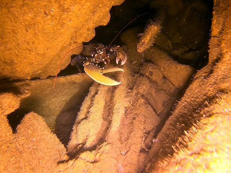 Divesite Image