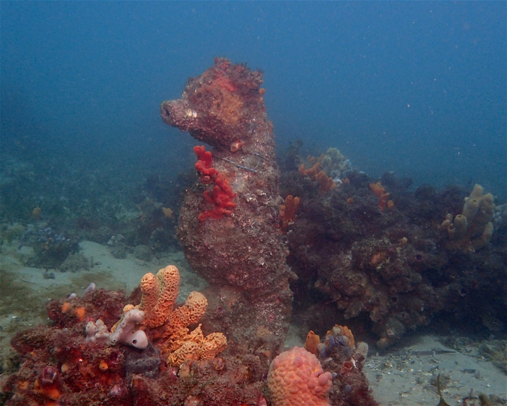 FEET FIRST DIVE PTY LTD, 2315 NELSON BAY