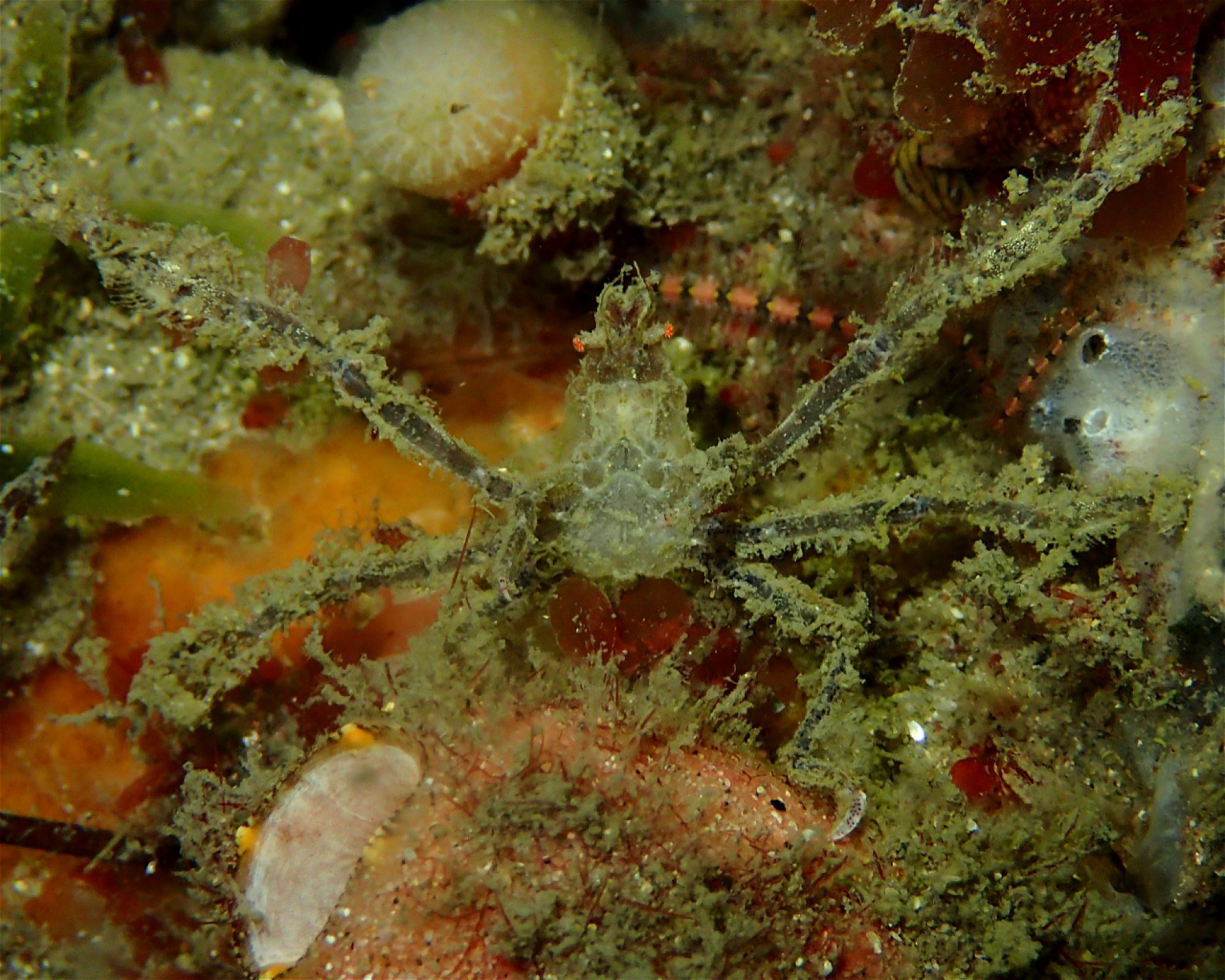 FEET FIRST DIVE PTY LTD, 2315 NELSON BAY