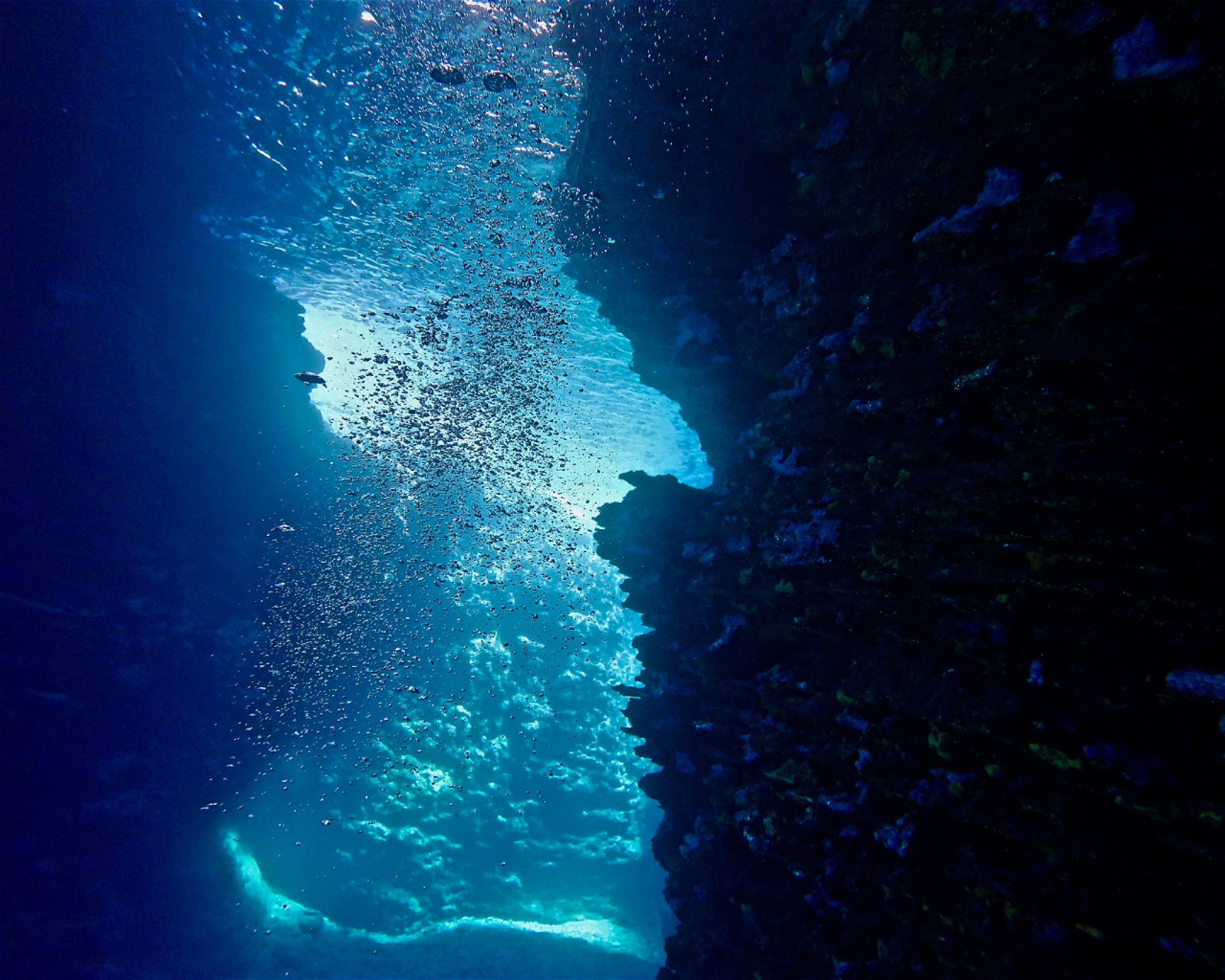 WE SHALL SEA, 84008 AMORGOS