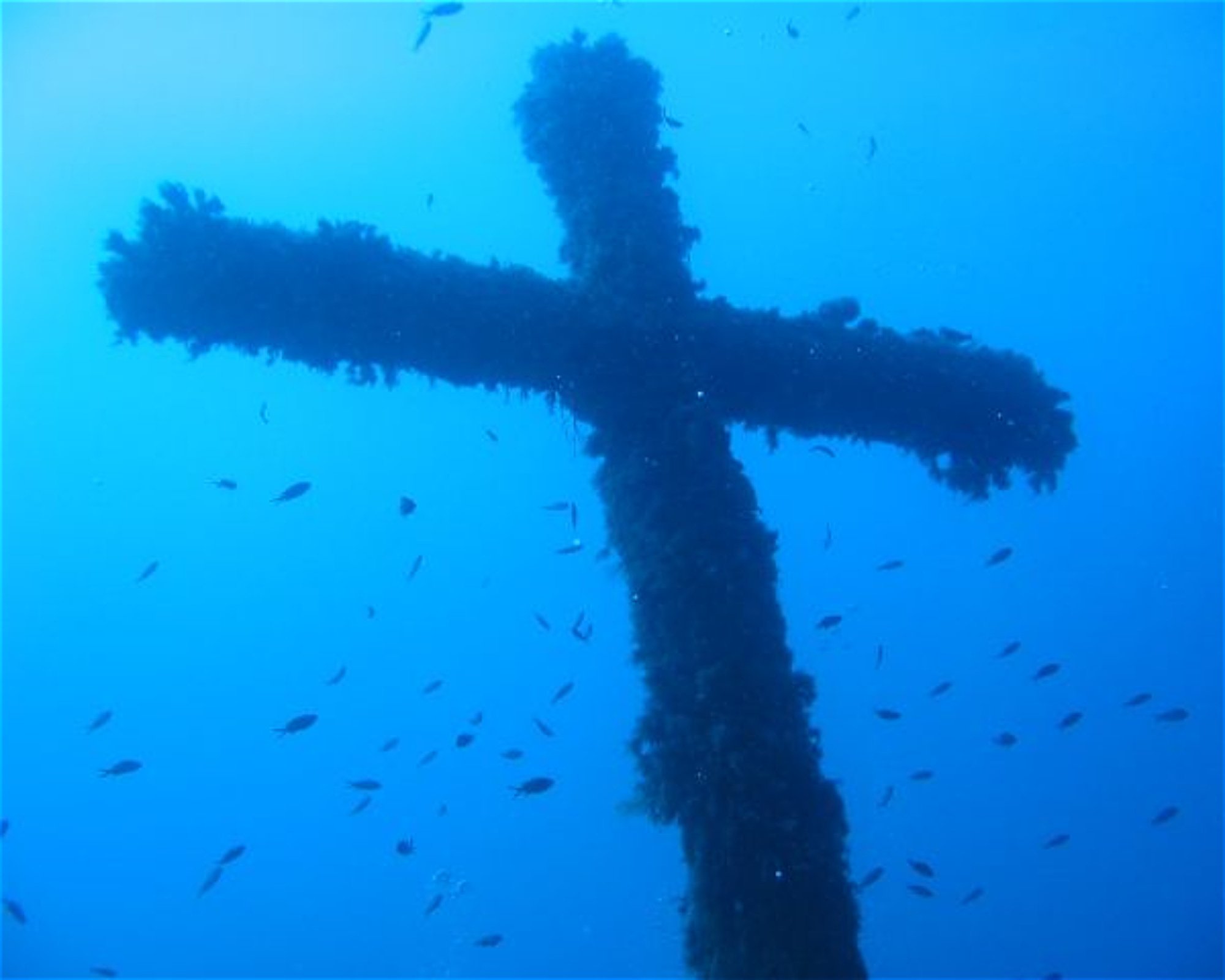Borgo Marina Diving a.s.d., 18100 Imperia