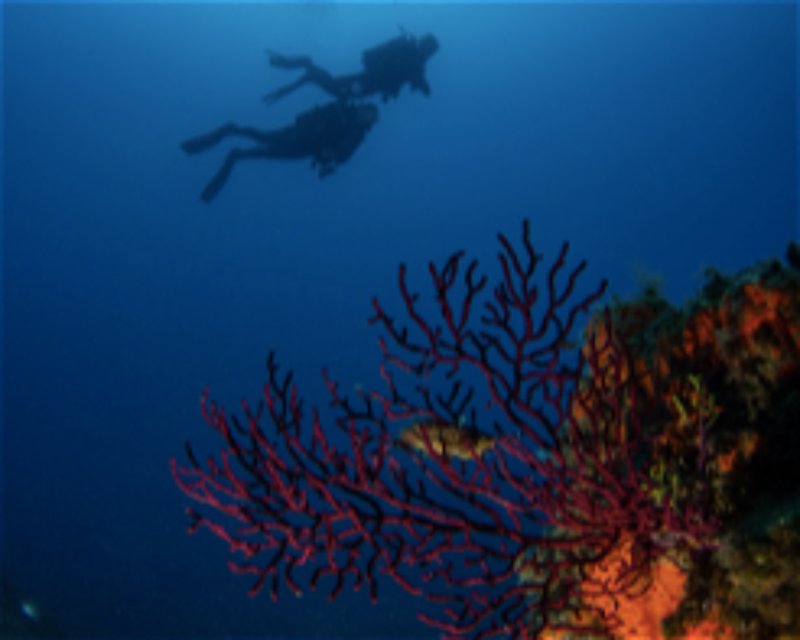 Divesite Image