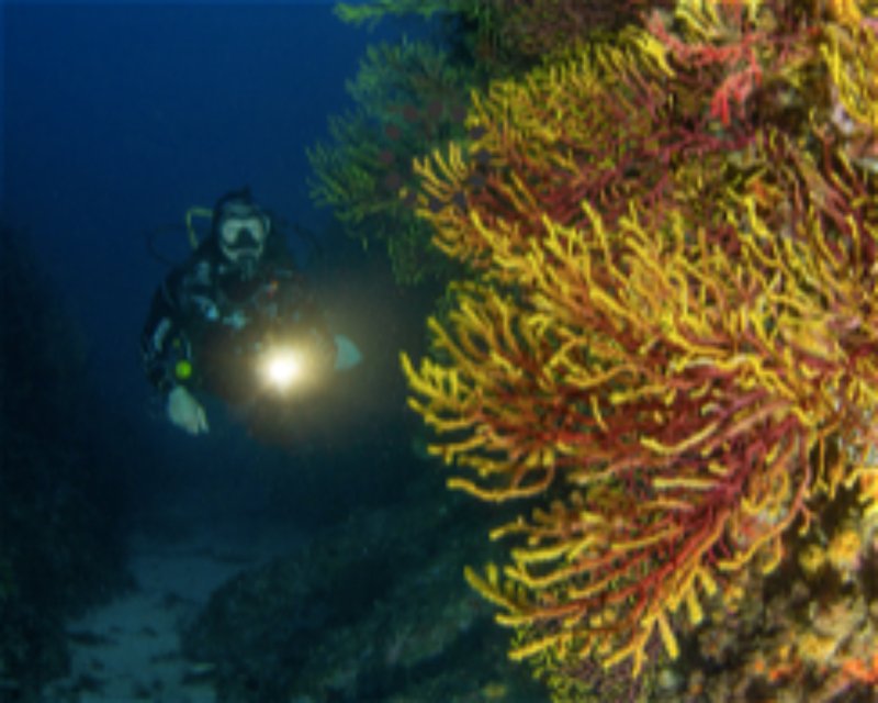 Divesite Image