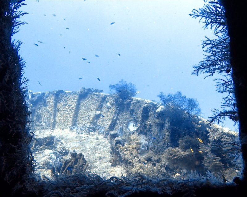 Divesite Image