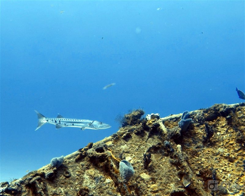 Divesite Image
