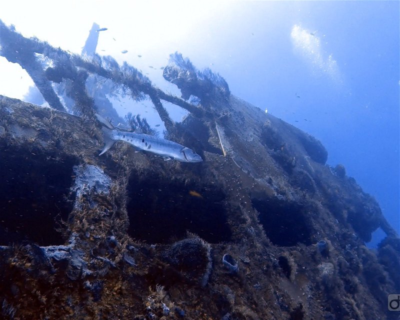 Divesite Image