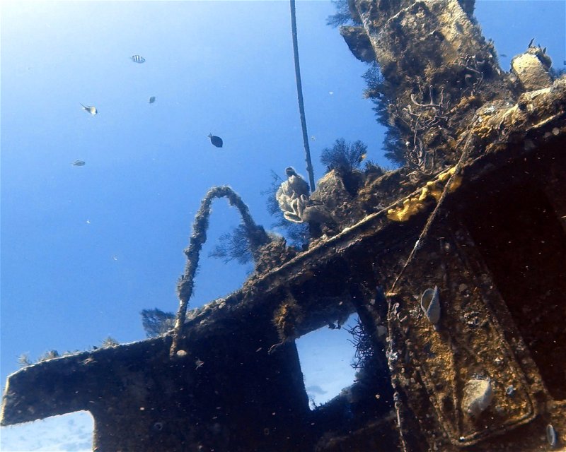 Divesite Image
