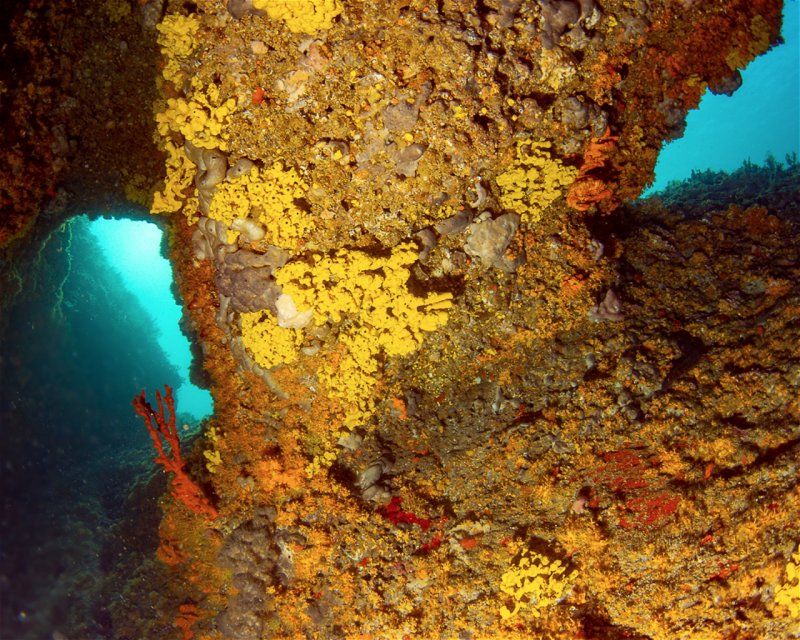 Divesite Image